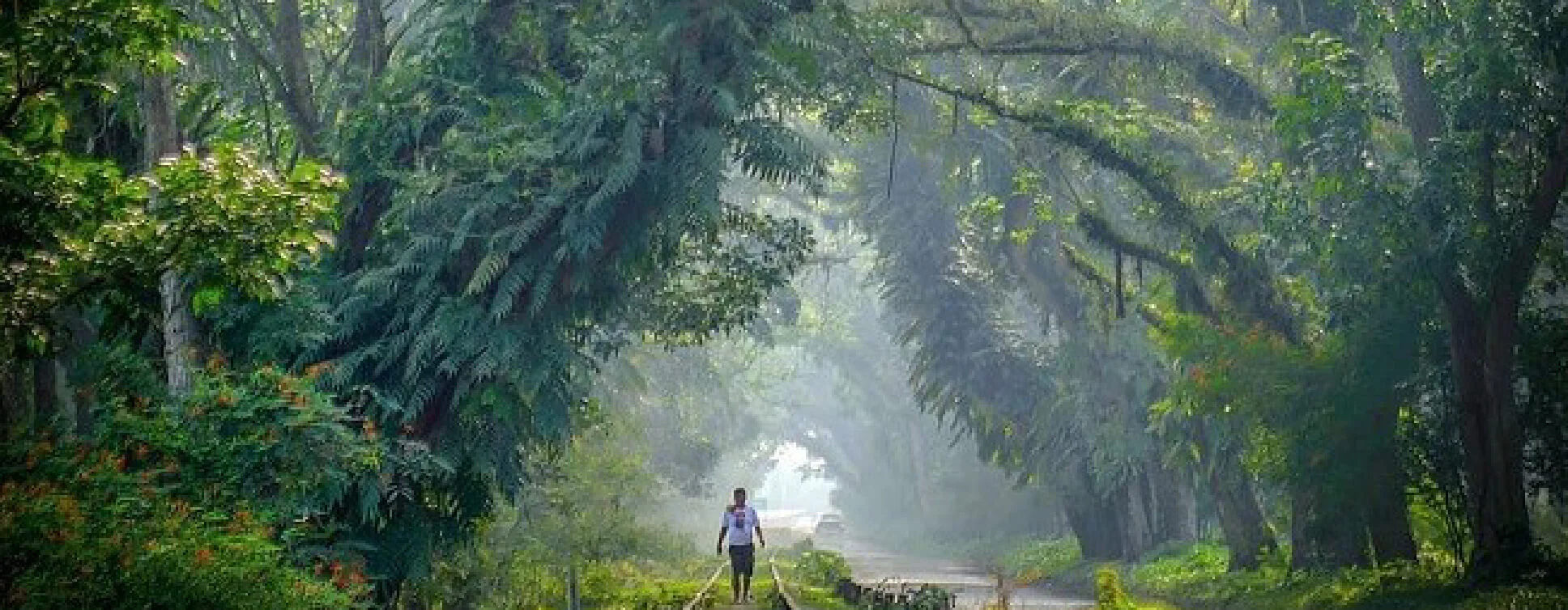 Kabupaten Labuhanbatu Utara