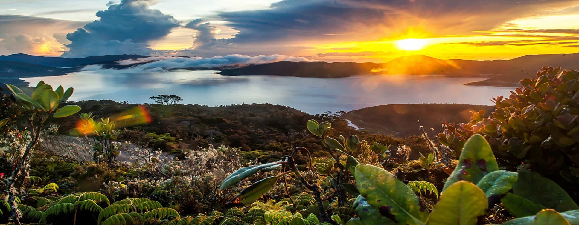 Kabupaten Pegunungan Arfak