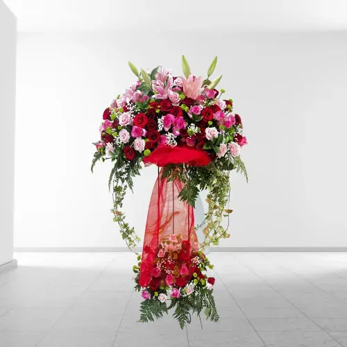 Crimson Amour Signature SF12