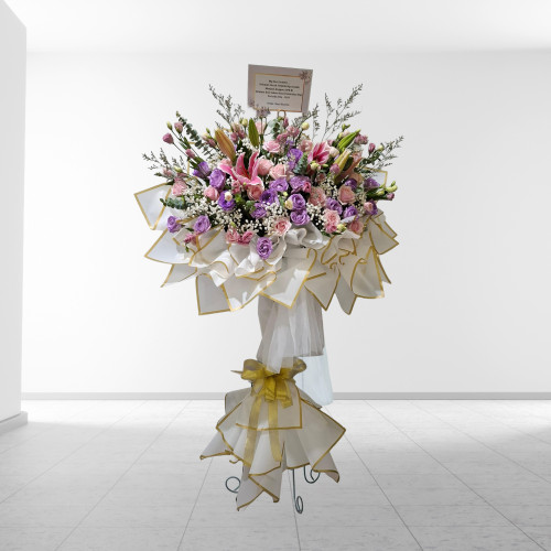 Aurora Pastel Majesty SF18