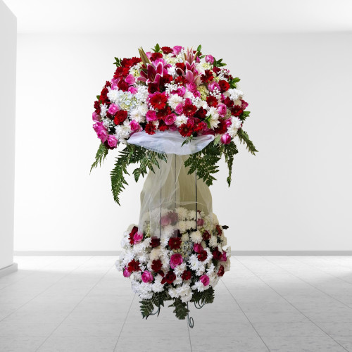 Aurora Crimson Royale SF22