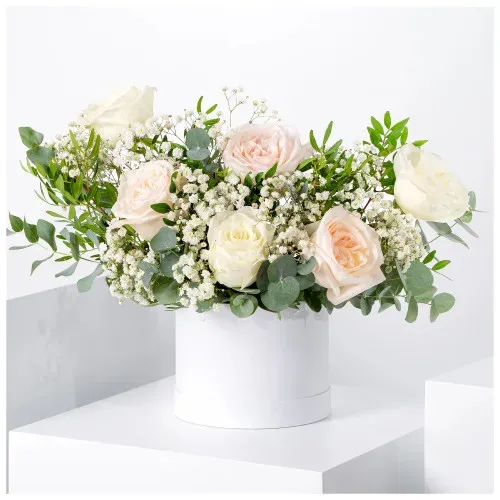 Aurélia Whisper Box FB_11