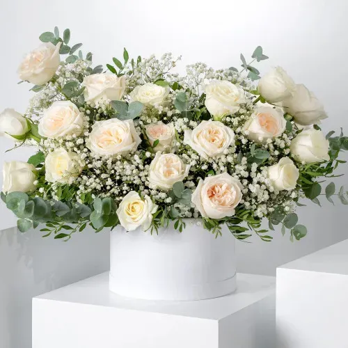 Ivory Serenity Box FB_13