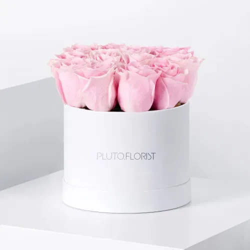 Pluto Rose Cloud FB_15