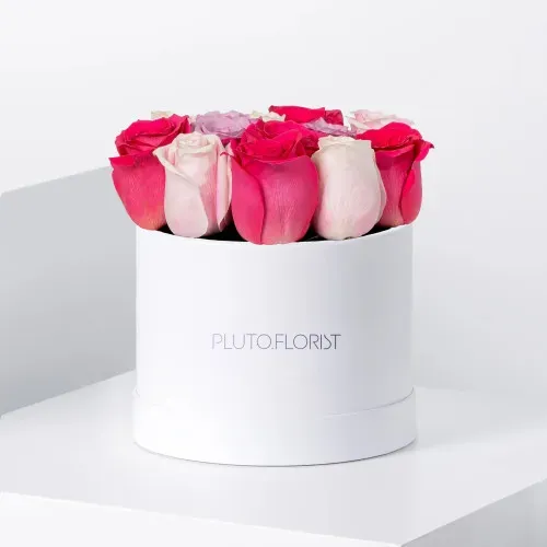 Plutonia Blush Symphony FB_16