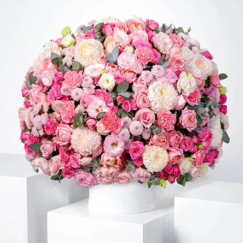 Aurora Rosé Dome FB_17