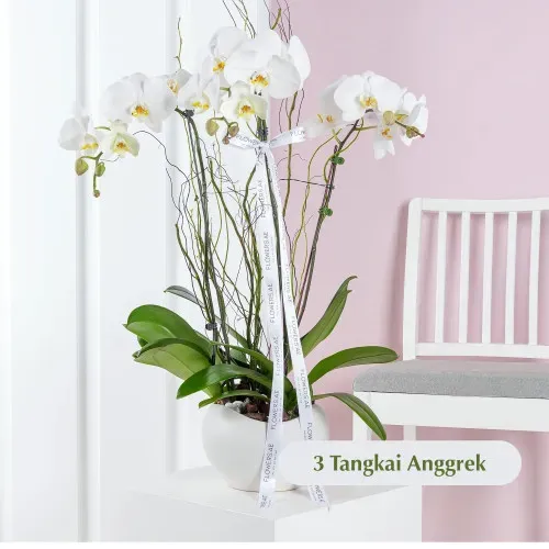 Opulent Serenity ANG_05