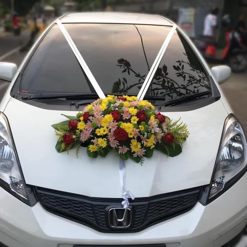 Best Momen Flo MP_02