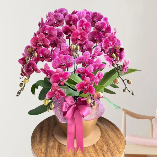 Imperial Bloom ANG_08