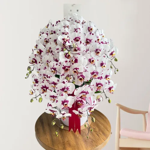 Grand Elegance ANG_09