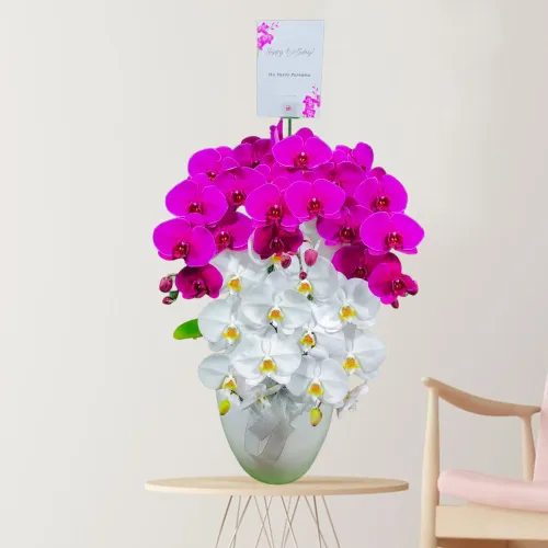 Harmony Bloom ANG_10